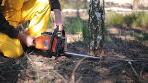 Best Soil Testing and Treatment  in Olcott, NY